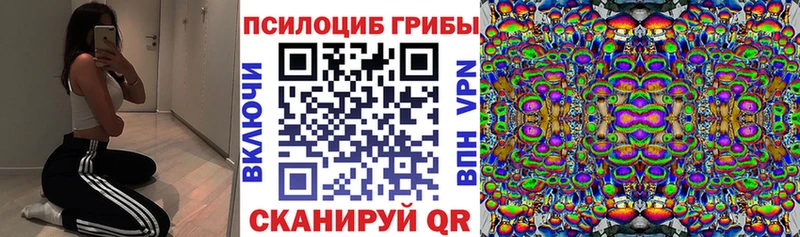 дарнет шоп Кремёнки Галлюциногенные грибы Psilocybine cubensis